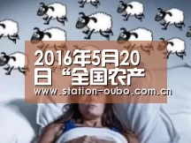 欧博