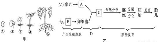 嘘,从今天起,你要叫我:库巴小公主【欧博】(图2) 欧博登录app