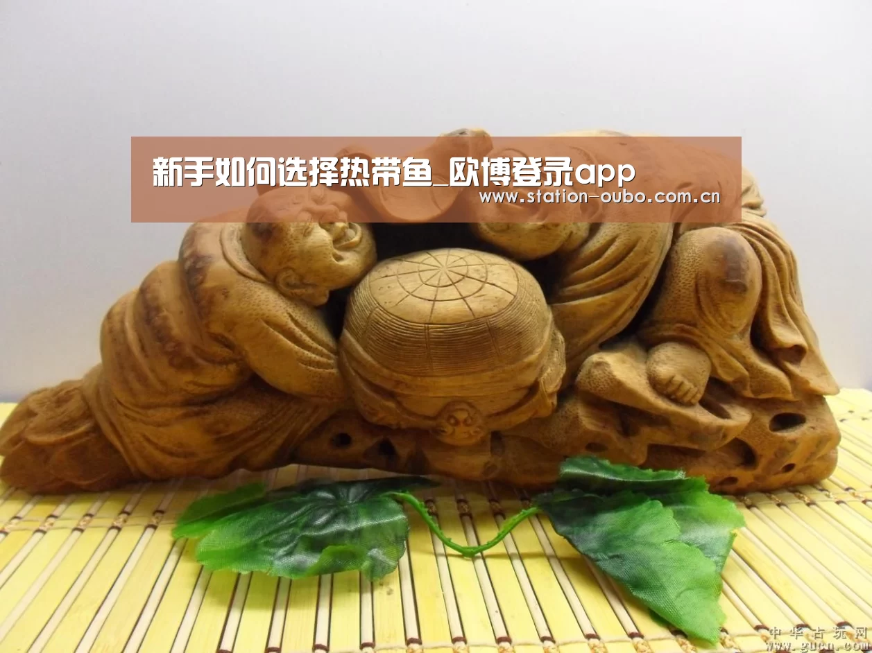 新手如何选择热带鱼_欧博登录app(图1) 欧博官网