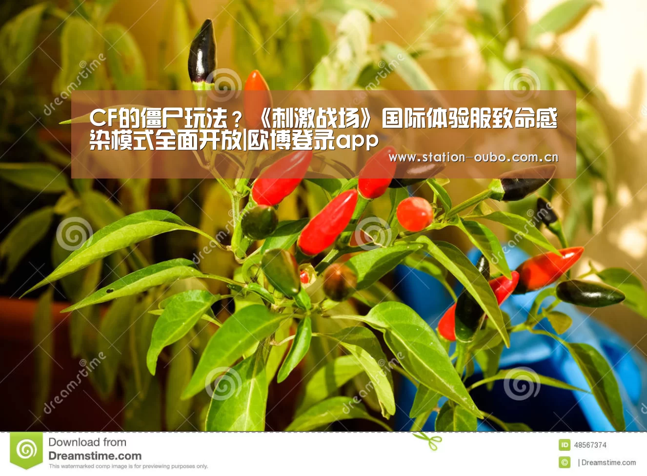 CF的僵尸玩法?《刺激战场》国际体验服致命感染模式全面开放|欧博登录app(图3) 欧博官方平台