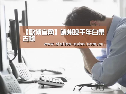 欧博