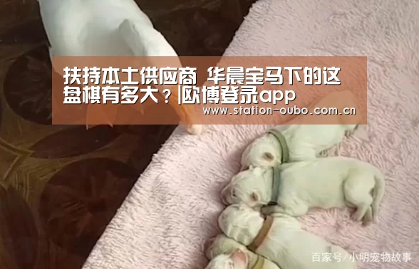 欧博官网