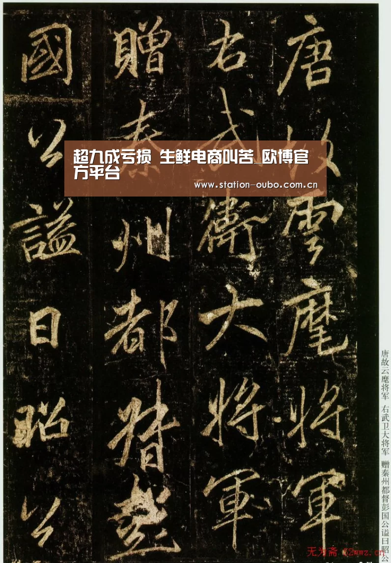 欧博登录app