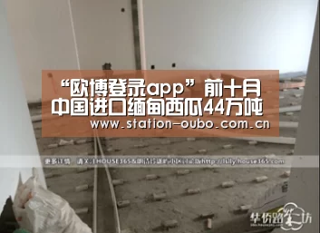 “欧博登录app”前十月中国进口缅甸西瓜44万吨 同比增长26%(图2) 欧博官网