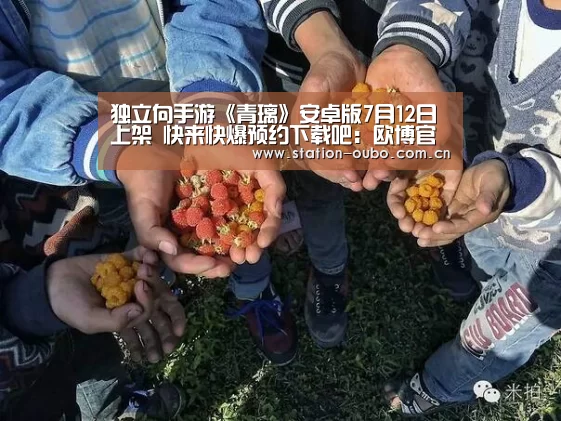 独立向手游《青璃》安卓版7月12日上架 快来快爆预约下载吧:欧博官网(图2) 欧博