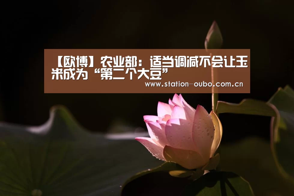 【欧博】农业部:适当调减不会让玉米成为“第二个大豆”(图2) 欧博官方平台